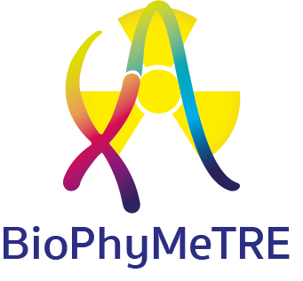 Novel biological and physical methods for triage in radiological and nuclear (R/N) emergencies (NATO SPS) - BioPhyMeTre